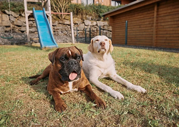 Nina Am Riedener Waldsee בית נופש *