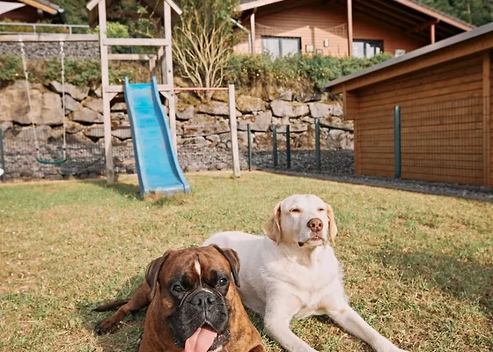 Nina Am Riedener Waldsee *